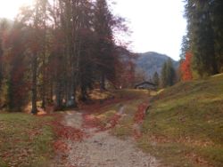 2013-10-26_Schildenstein (045).JPG